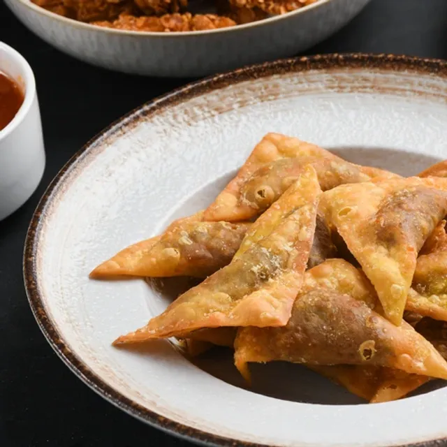 Pulled Beef Wonton